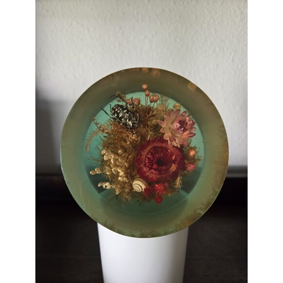 Vintage Lucite Insect Taxidermy Flower Cylinder Display Paperweight Resin Oddity - Picture 1 of 8
